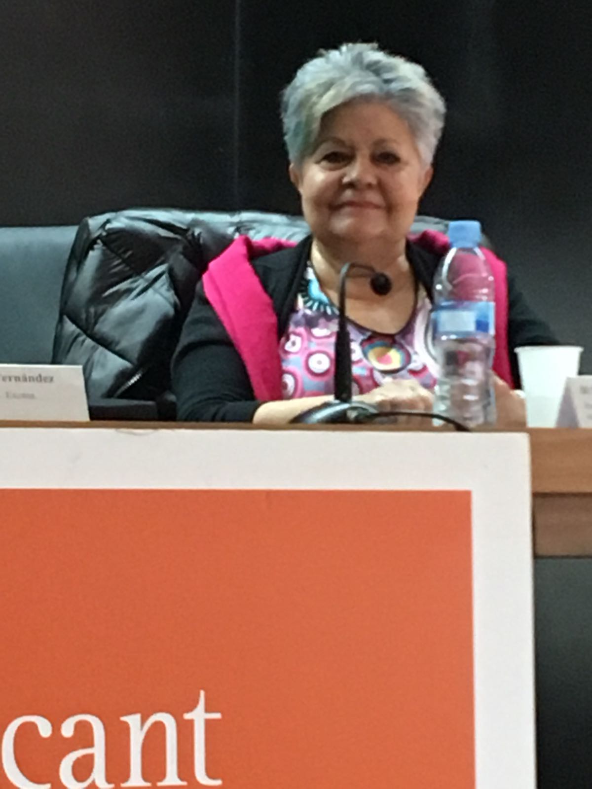 171128 jornada aicp alicante foto 03 pilar